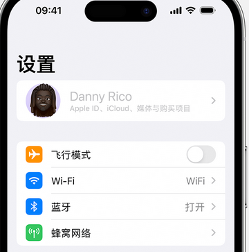 汉滨appleID维修服务iPhone设置中Apple ID显示为灰色无法使用 