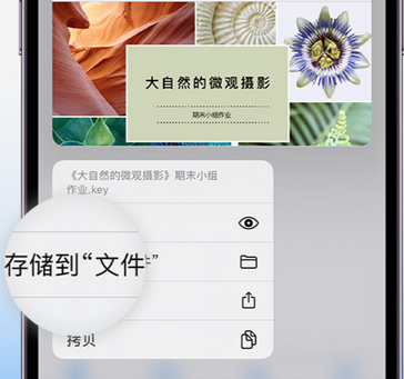 汉滨apple维修中心分享iPhone文件应用中存储和找到下载文件