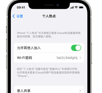 汉滨apple服务站点分享iPhone上个人热点丢失了怎么办