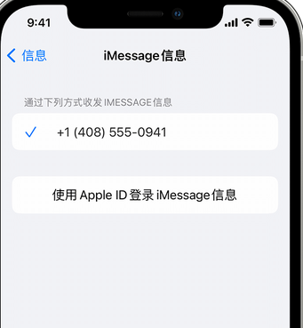 汉滨apple维修iPhone上无法正常发送iMessage信息 