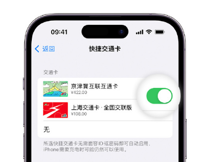 汉滨apple维修点分享iPhone上更换Apple Pay快捷交通卡手绘卡面 