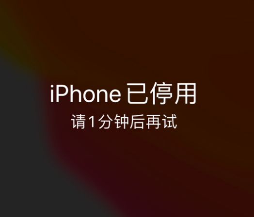 汉滨苹果手机维修分享:iPhone 显示“不可用”或“已停用”怎么办？还能保留数据吗？ 