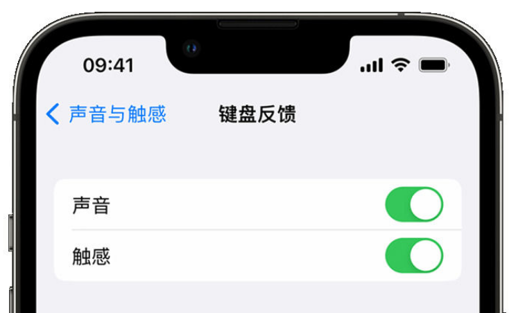 汉滨苹果手机维修分享iPhone 14触感键盘使用方法 