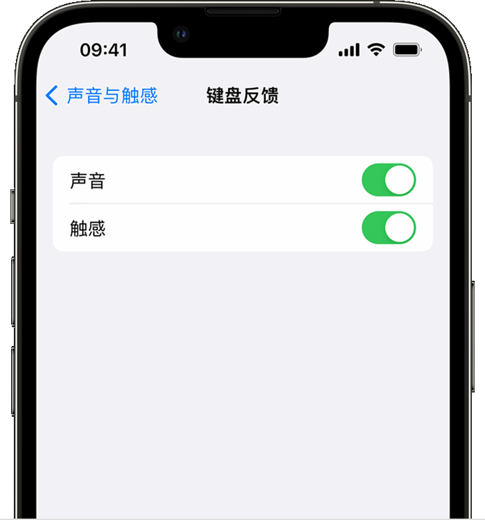 汉滨苹果14维修店分享如何在 iPhone 14 机型中使用触感键盘 