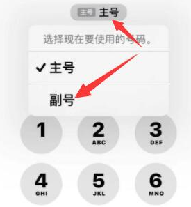 汉滨苹果14维修店分享iPhone 14 Pro Max使用副卡打电话的方法 