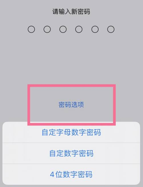 汉滨苹果14维修分享iPhone 14plus设置密码的方法 