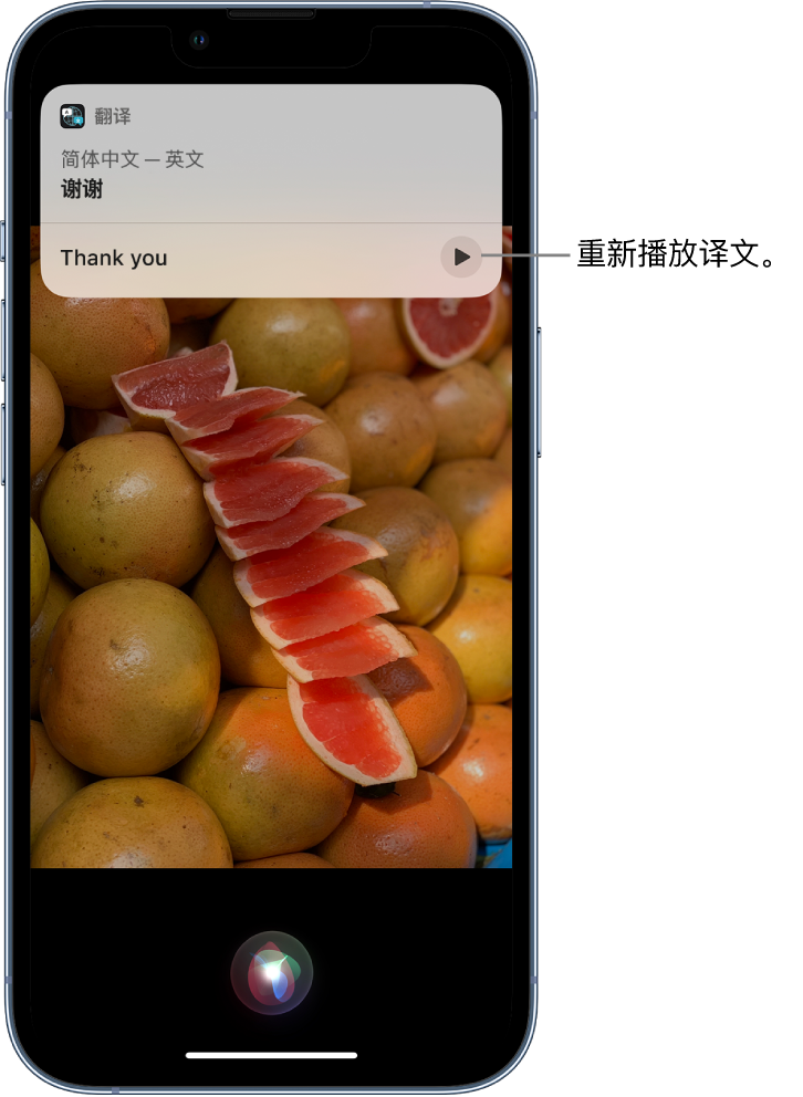 汉滨苹果14维修分享 iPhone 14 机型中使用 Siri：了解 Siri 能帮你做什么 