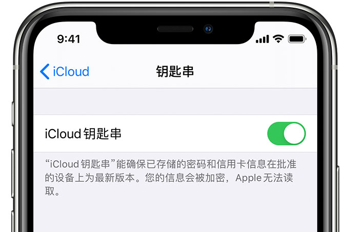 汉滨苹果手机维修分享在 iPhone 上开启 iCloud 钥匙串之后会储存哪些信息 