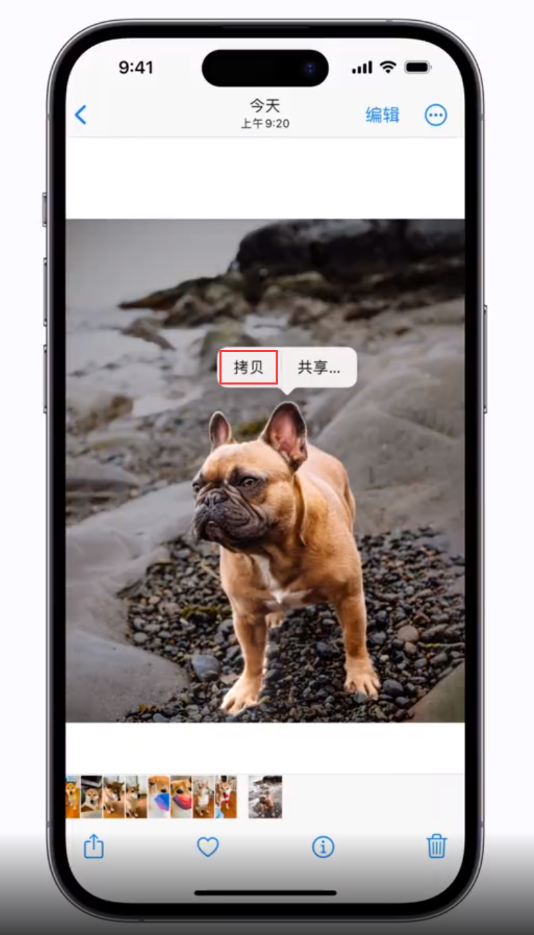 汉滨苹果手机维修分享 iOS 16 自带一键抠图功能 
