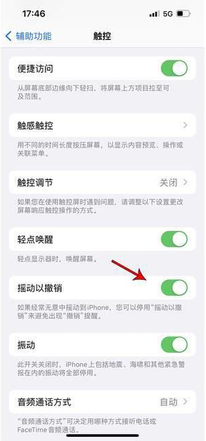 汉滨苹果手机维修分享iPhone手机如何设置摇一摇删除文字 