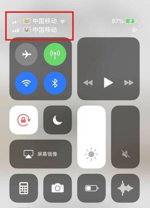 汉滨苹果手机维修分享为 iPhone 12 双卡设置标签 